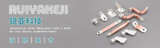 台州招聘网-温州锐亚科技-招聘